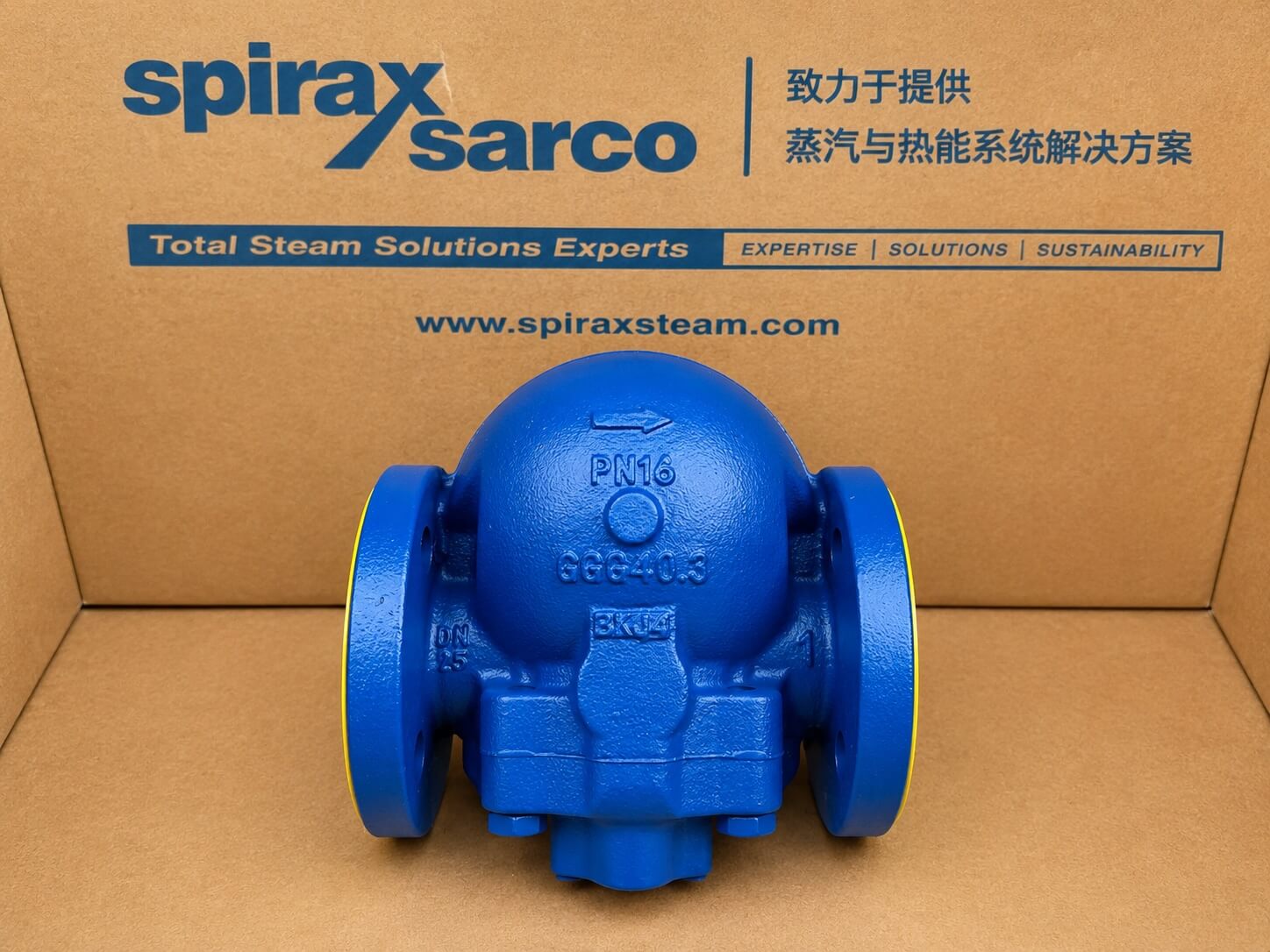 مصيدة بخار عائمة Spirax Sarco FT14